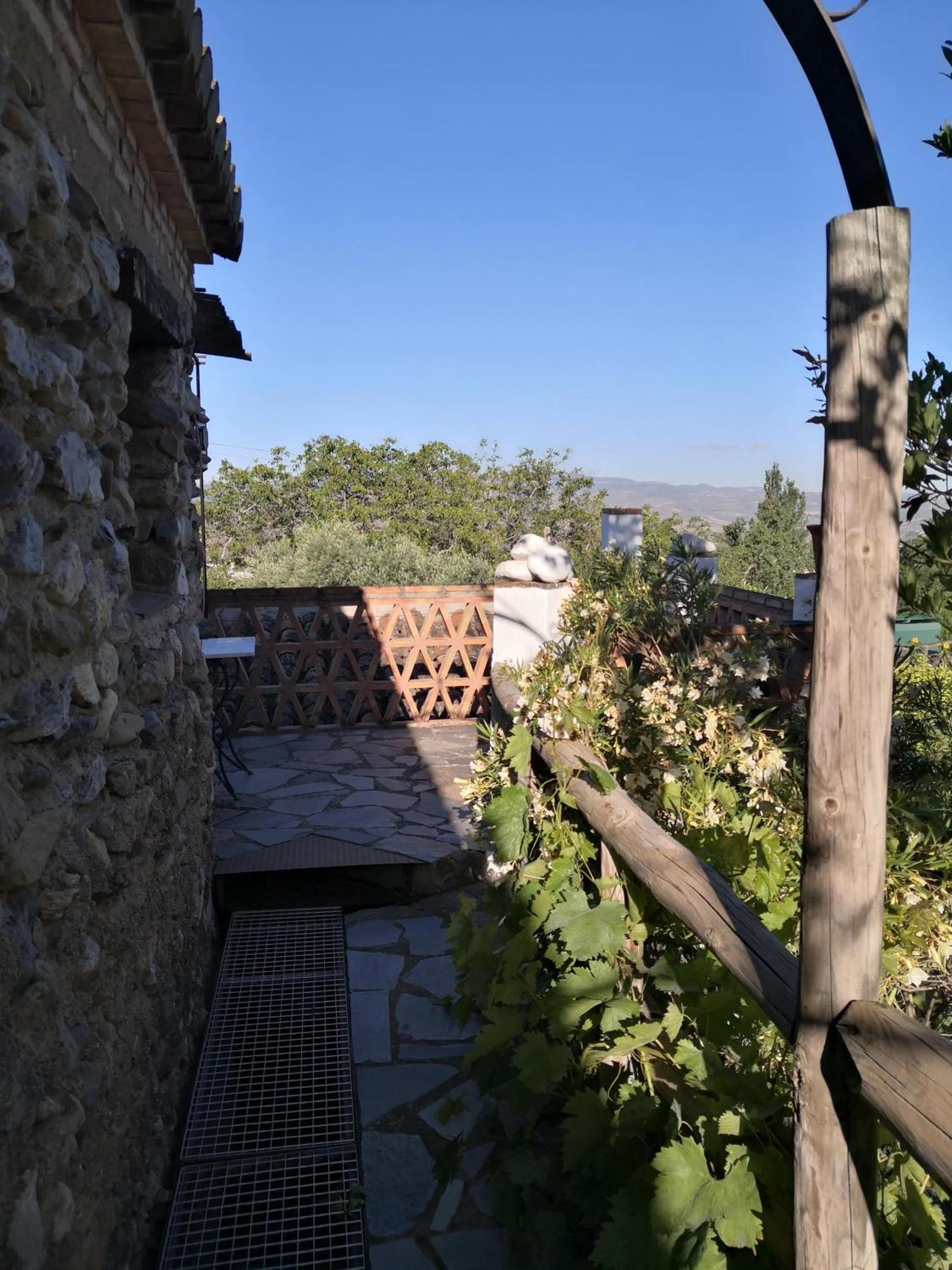 Hotel Rural Alqueria De Los Lentos Nigüelas Стая снимка