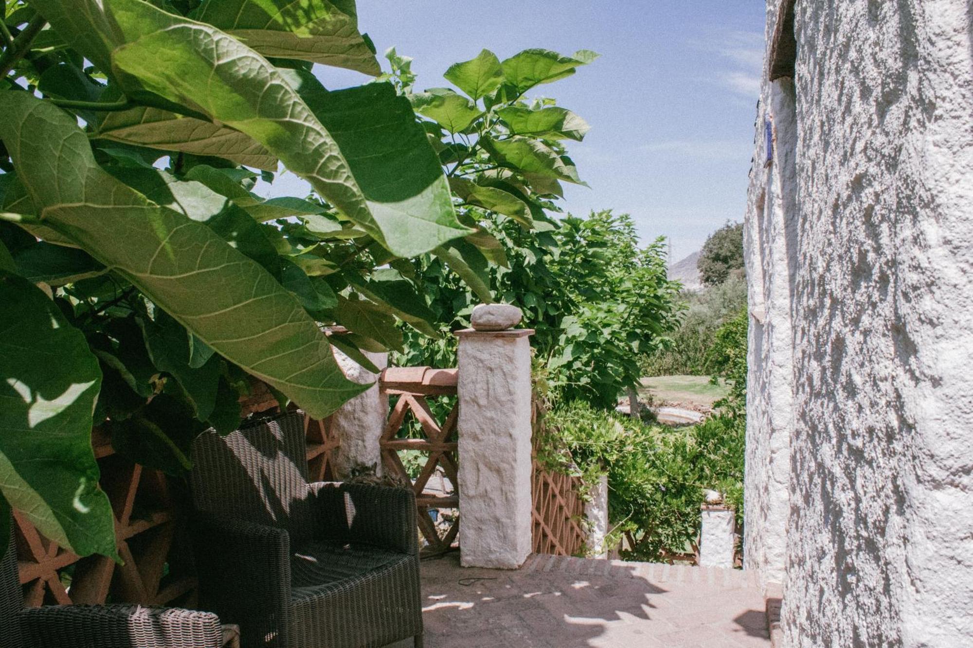 Hotel Rural Alqueria De Los Lentos Nigüelas Стая снимка