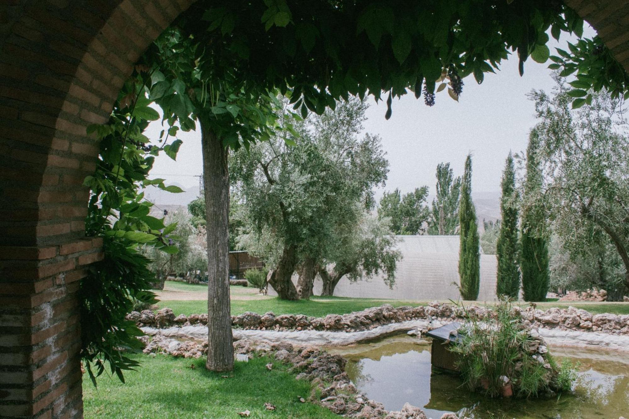 Hotel Rural Alqueria De Los Lentos Nigüelas Стая снимка